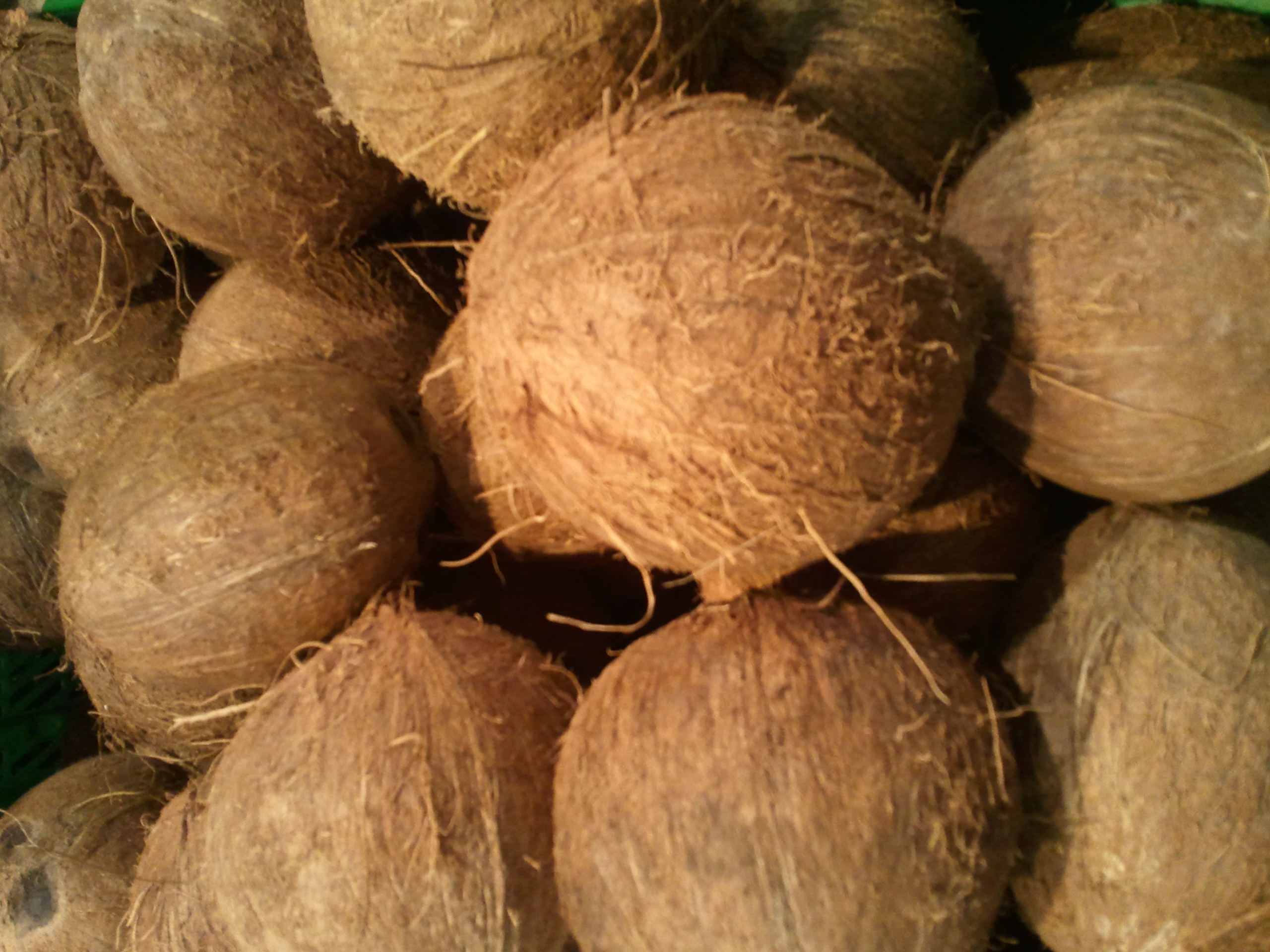 Ne čudi da kokosovo ulje promoviraju u službi zdravlja i ljepote mnogi
