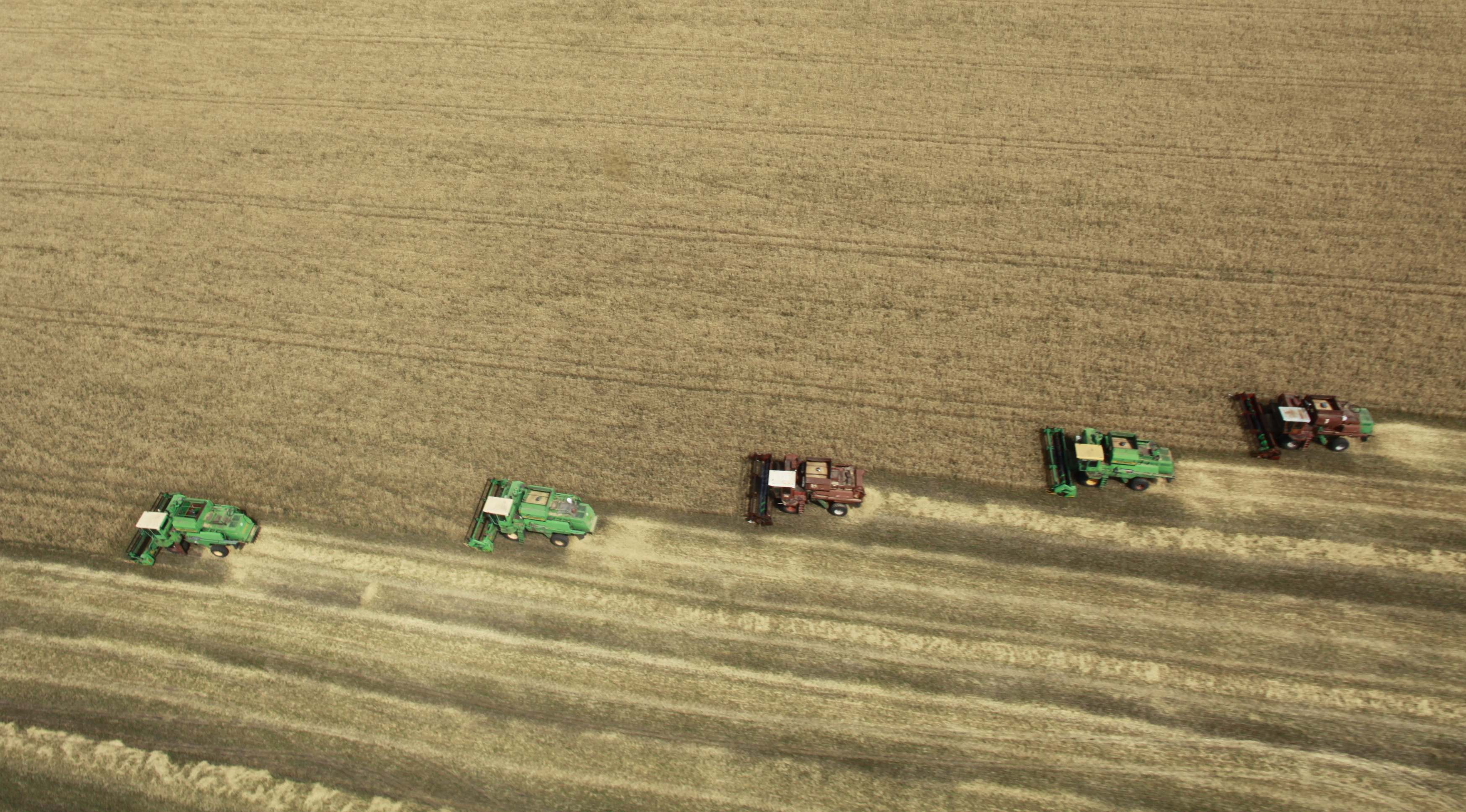 Rekordne ruske žetve ugrozile su kanadski izvoz žita / Foto REUTERS