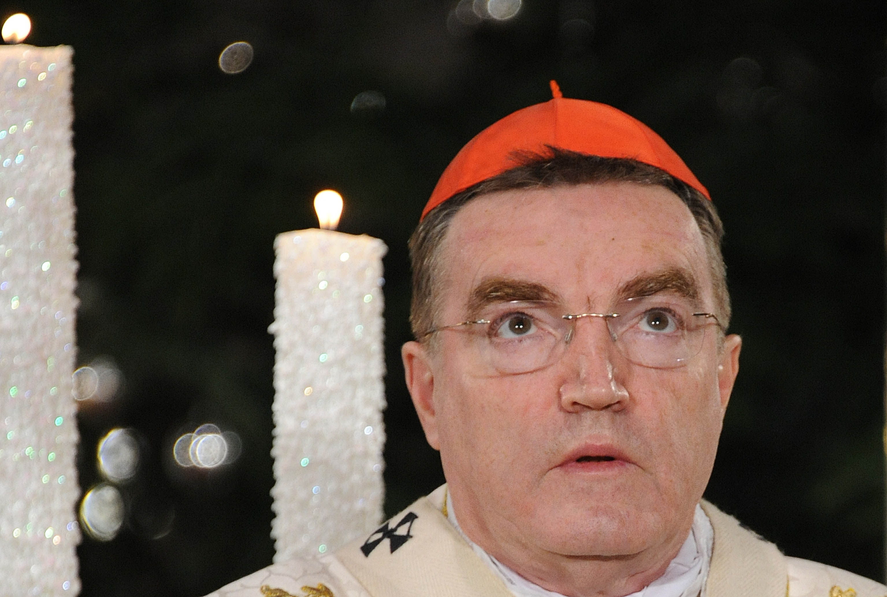 Kardinal Josip Bozanić / Snimio Nenad REBERŠAK