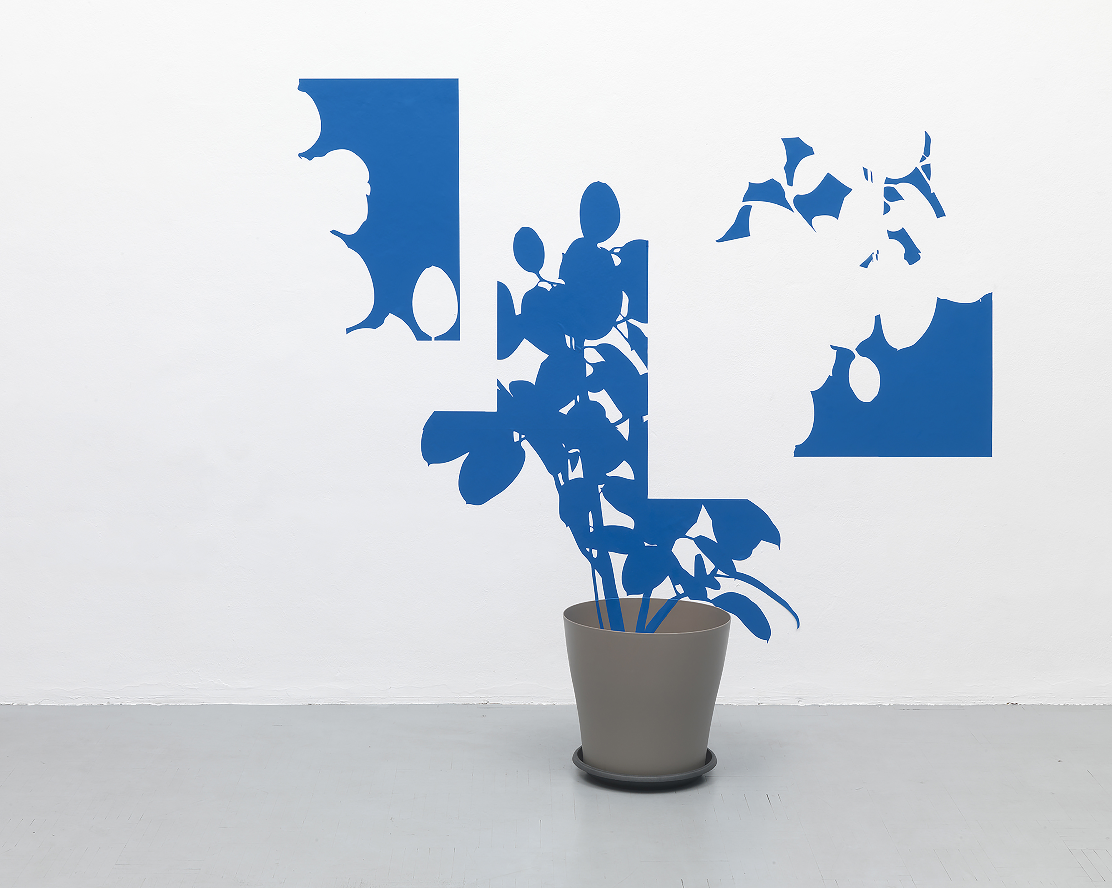 Igor Eškinja: Nemogući rast, Lambda print na dibondu, 2019.