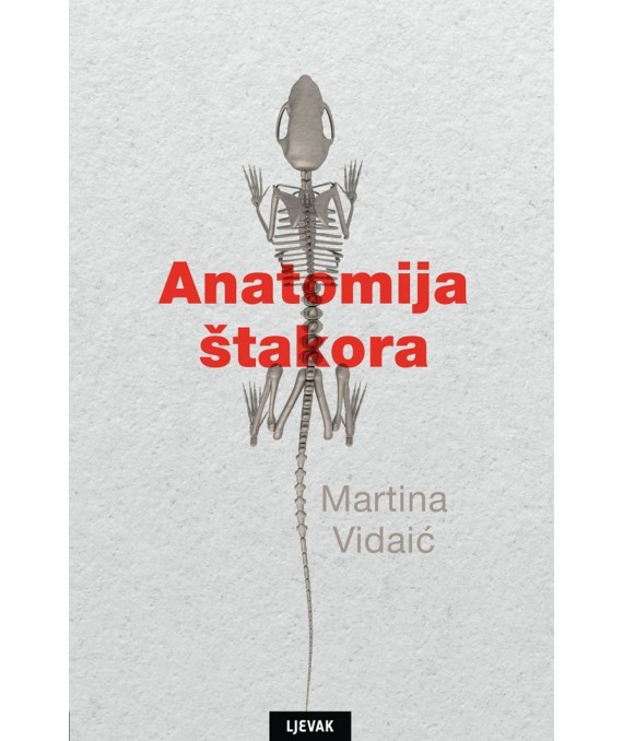 Martina Vidaić: Anatomija štakora
