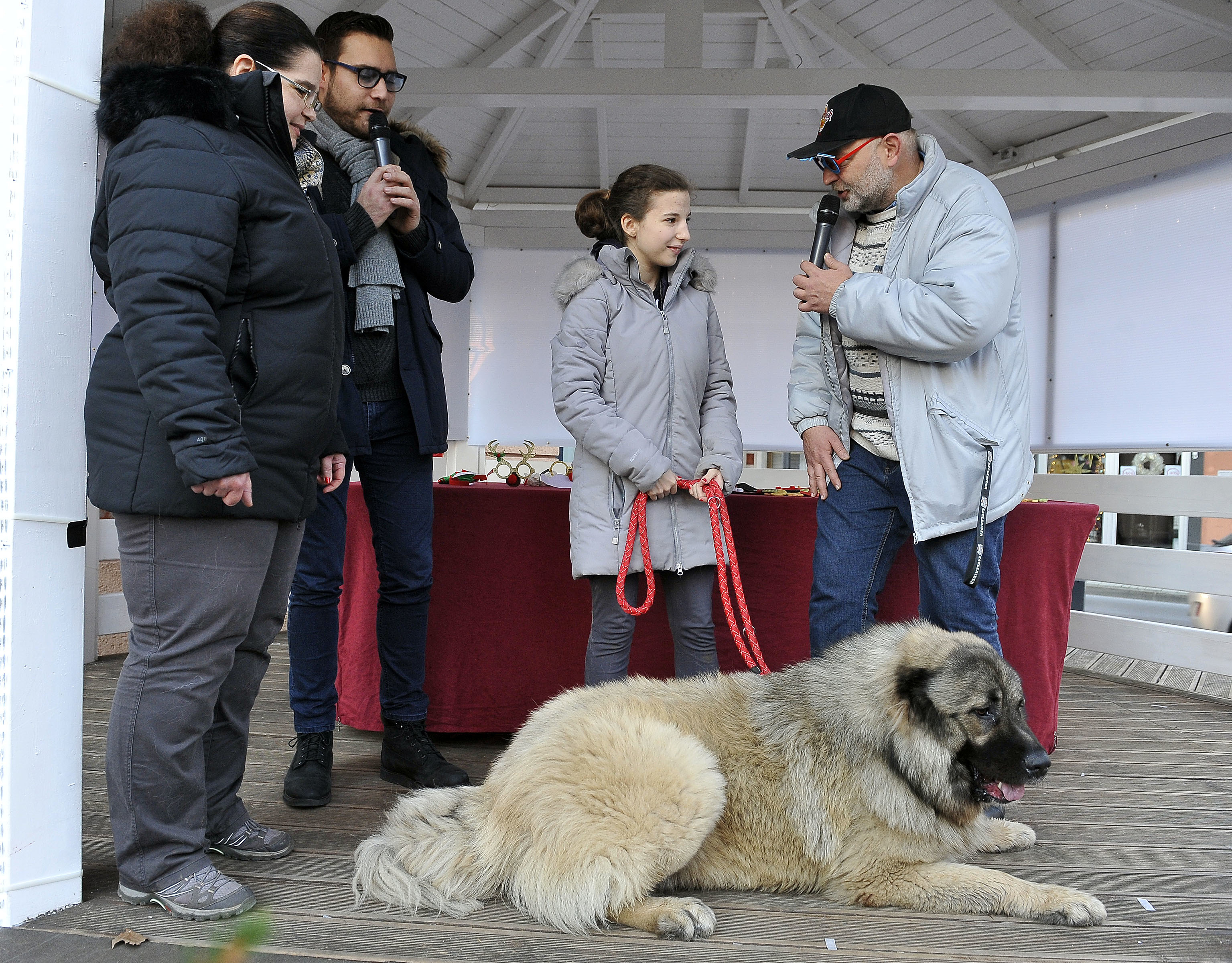 Najveću pažnju privukao je kavkaski ovčar Koda, težak 80 kilograma / Snimio Roni BRMALJ