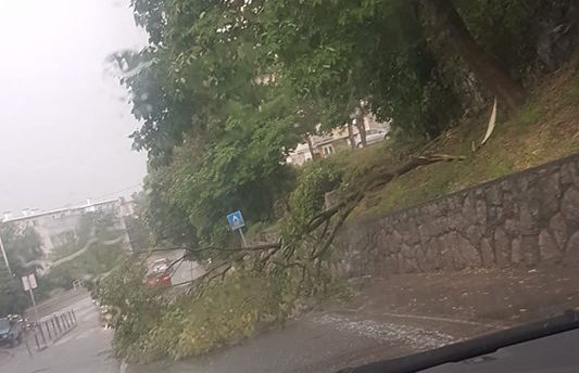 Srušeno stablo na Turniću / Foto Problemi u prometu - Rijeka i okolica / Facebook