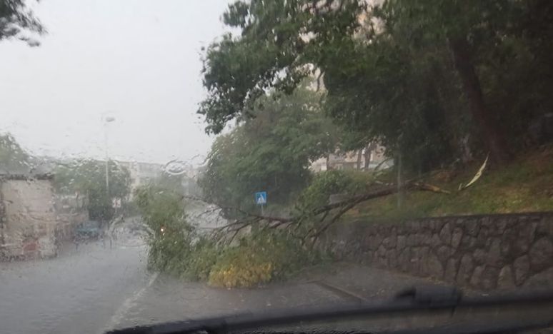 Srušeno stablo na Turniću / Foto Problemi u prometu - Rijeka i okolica / Facebook