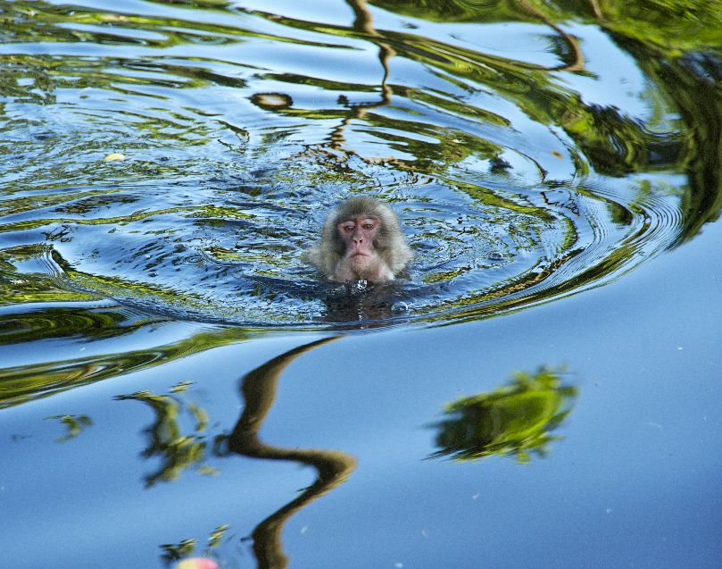 Foto Konstanze MEINDL