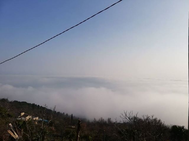 Foto Diana Janjetić