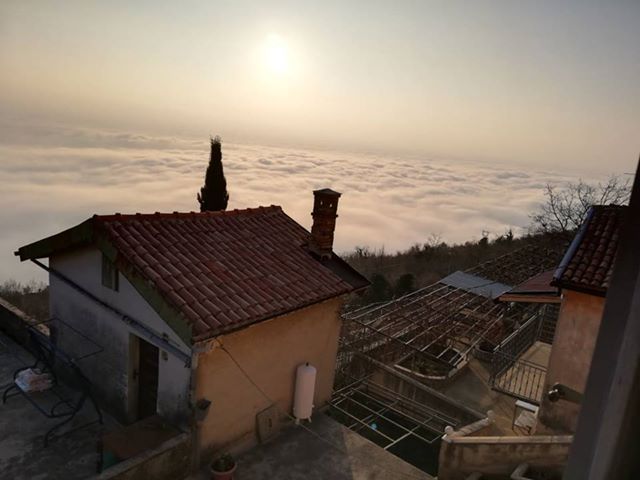 Foto Diana Janjetić