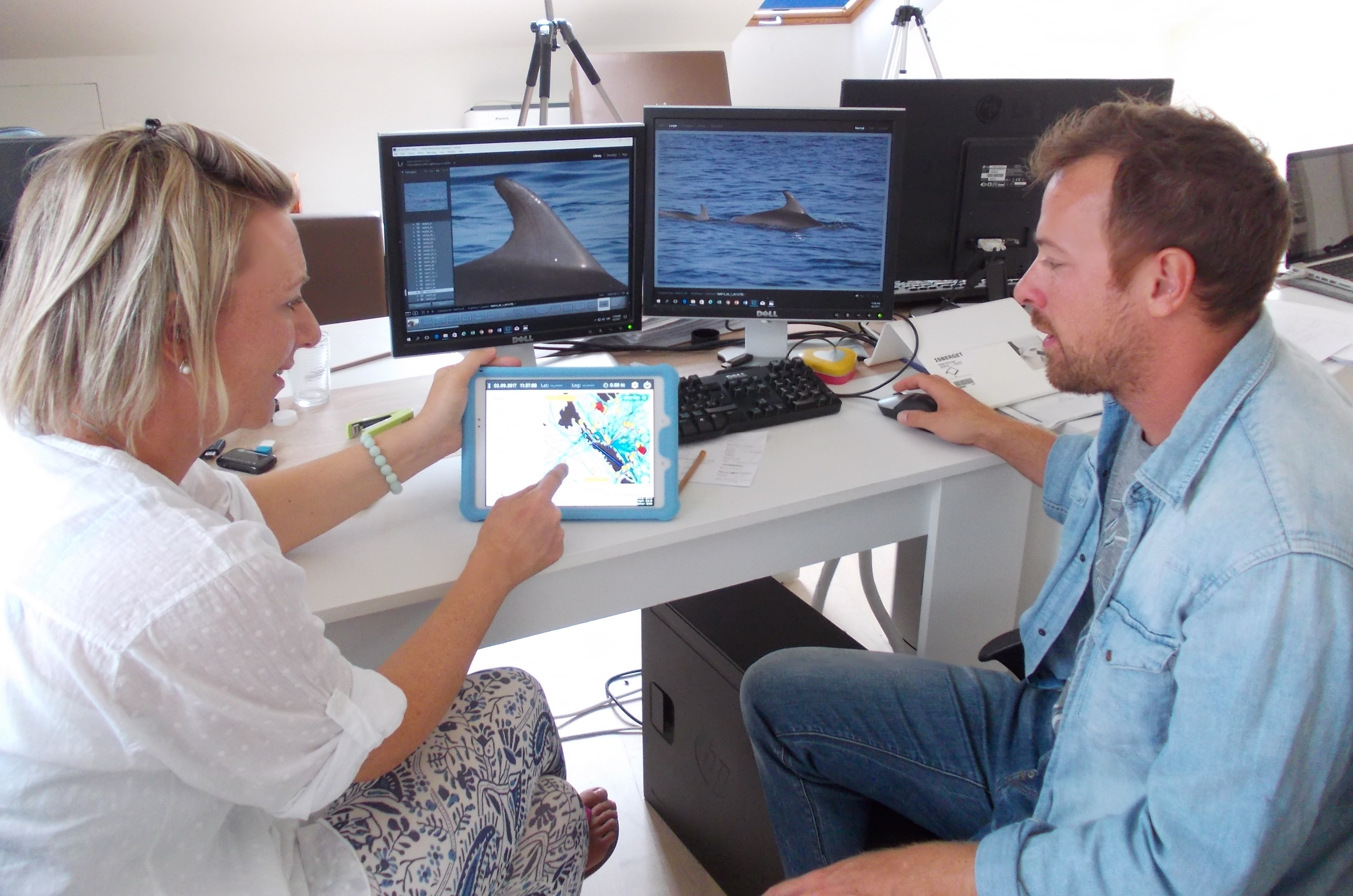 Nikolina Rako Gospić i Marko Radulović