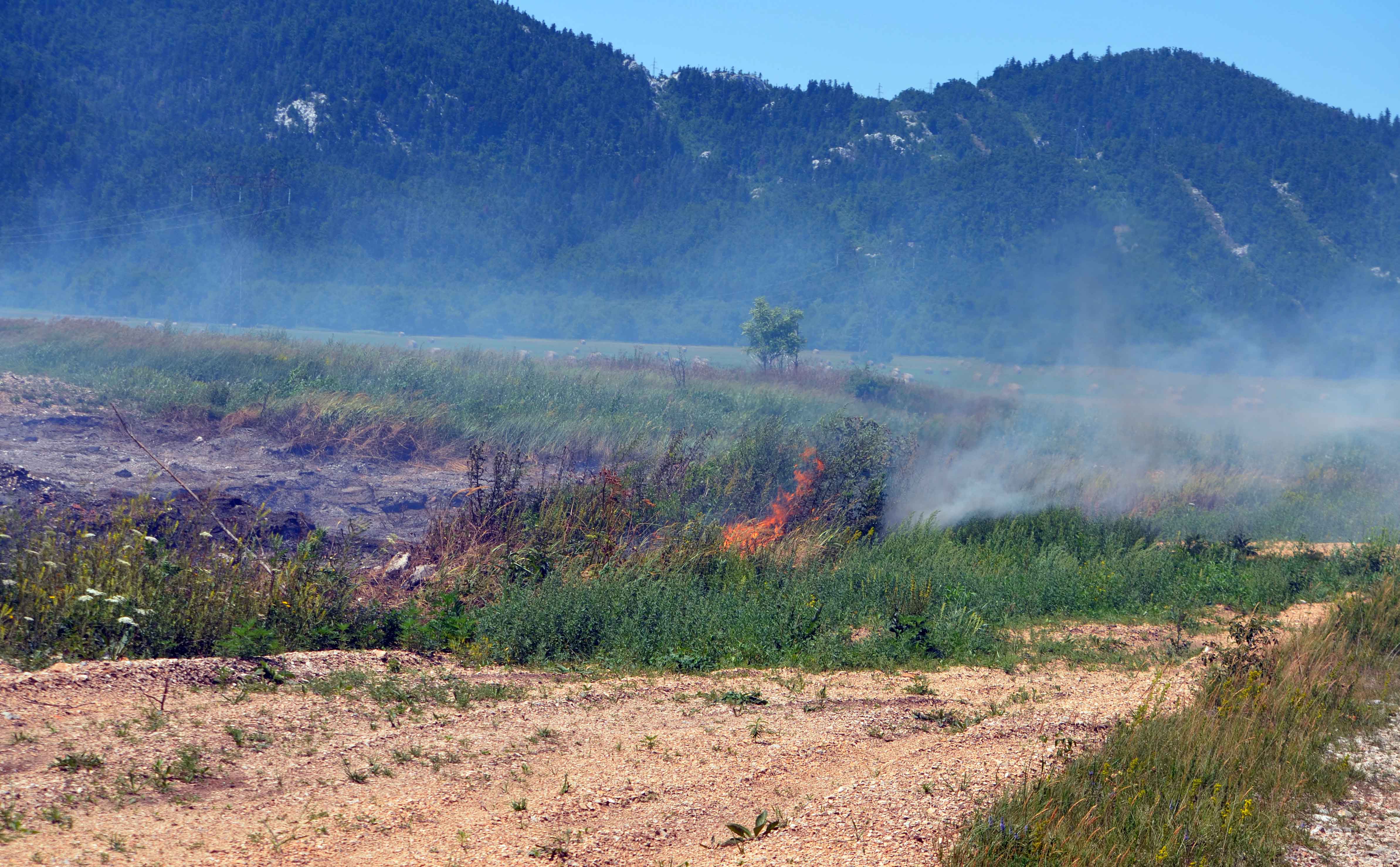 Foto M. KRMPOTIĆ