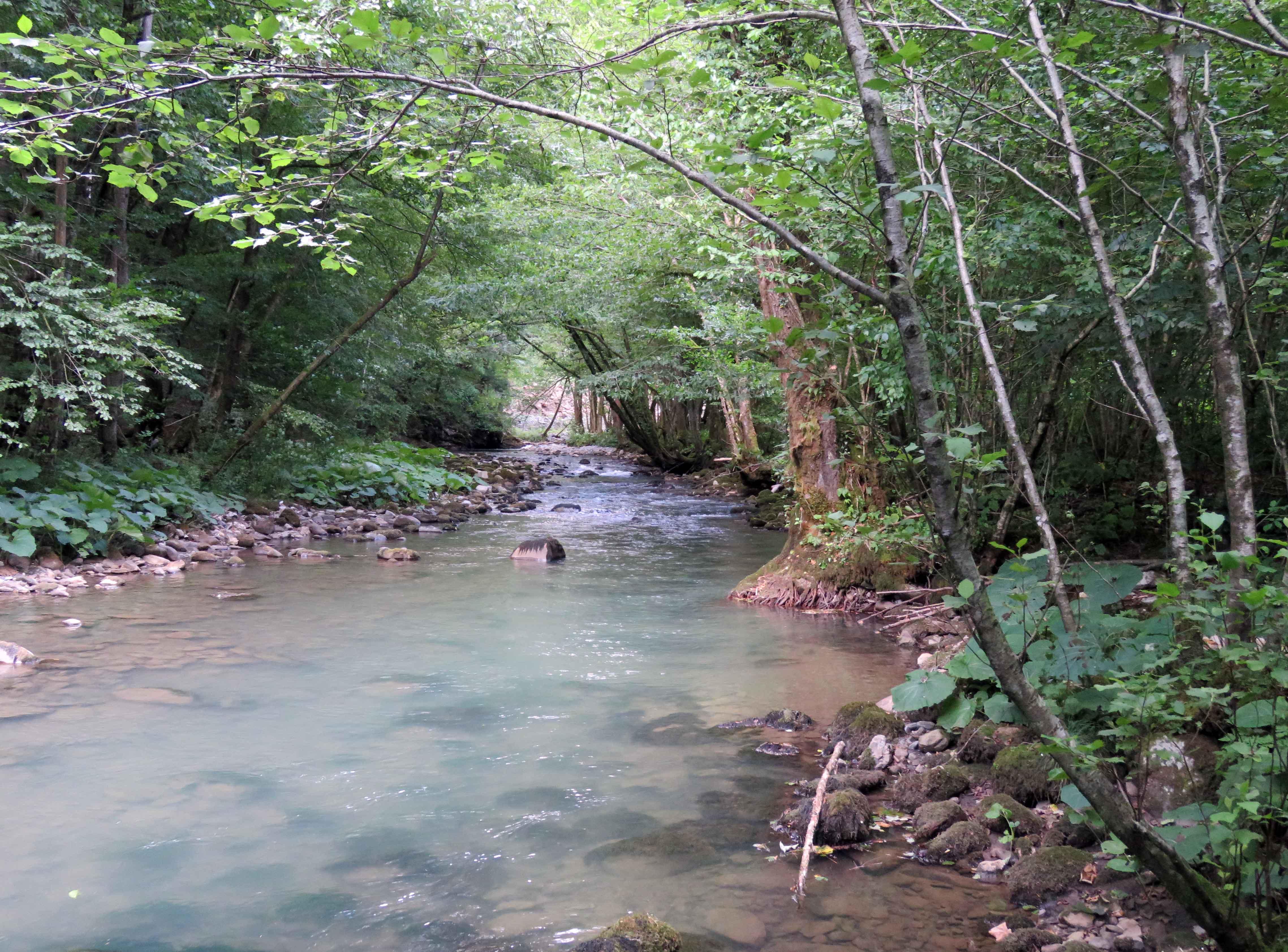 Ovako je Curak izgledao nekad / Foto Marinko KRMPOTIĆ