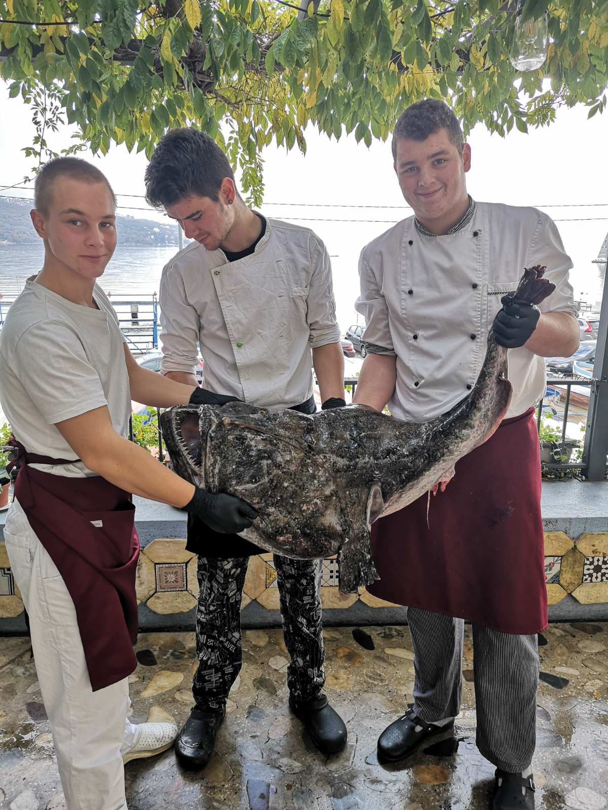 Raža od 30 kilograma završila je u vološćanskom restoranu Veranda