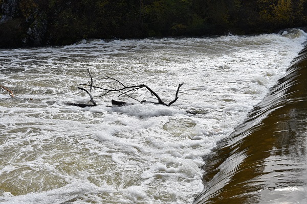 Foto: M. SMOLČIĆ