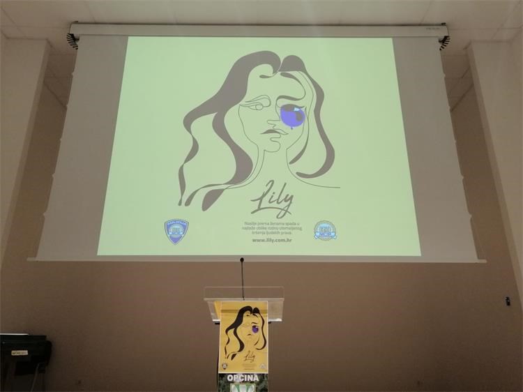 Projekt Lily, borba protiv nasilja nad ženama, Gospić,