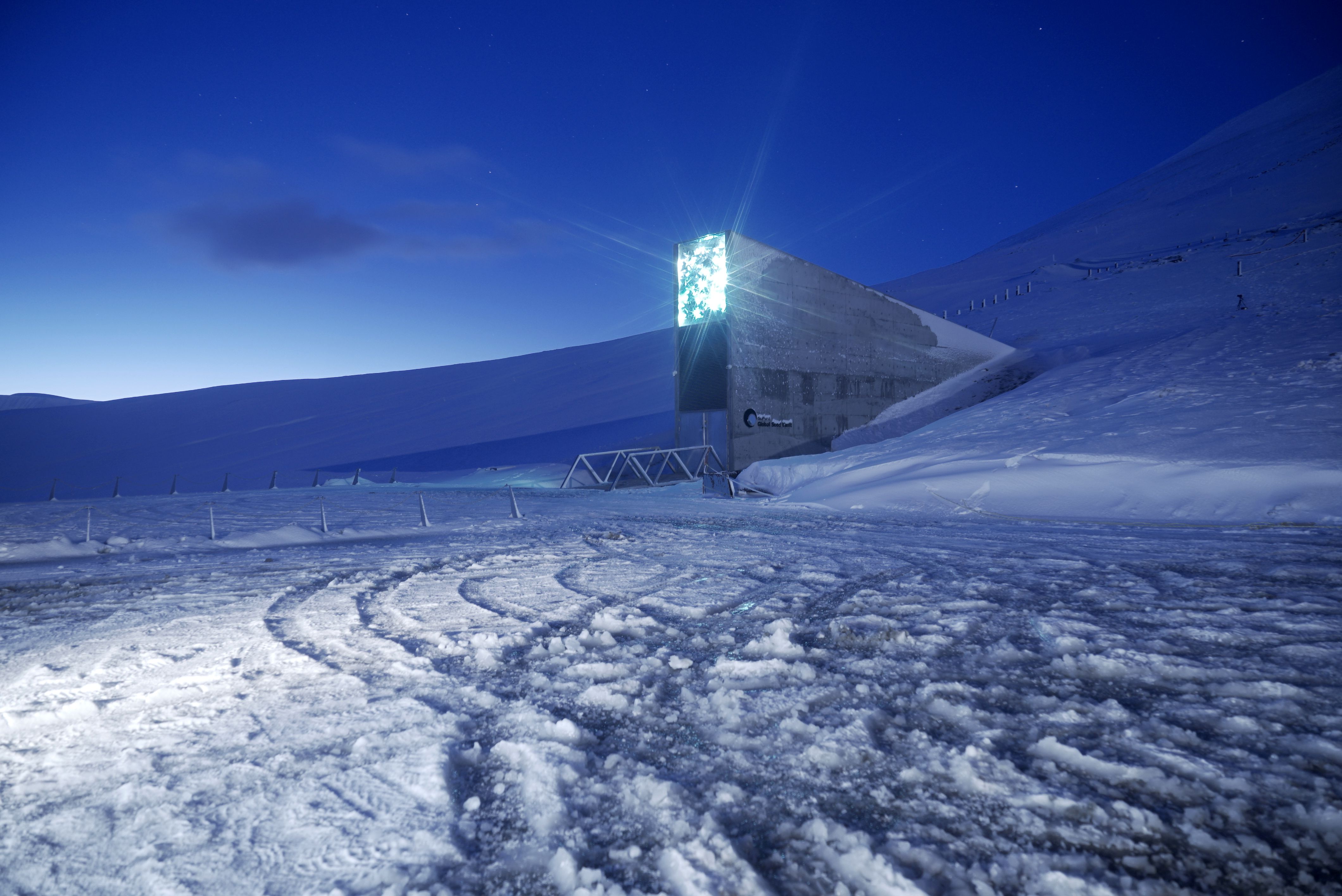 U stijenama norveškog arhipelaga Svalbard nalazi se jedinstvena u svijetu Globalna riznica sjemenja, koja je obilježila desetu godišnjicu postojanja / Foto NordGen