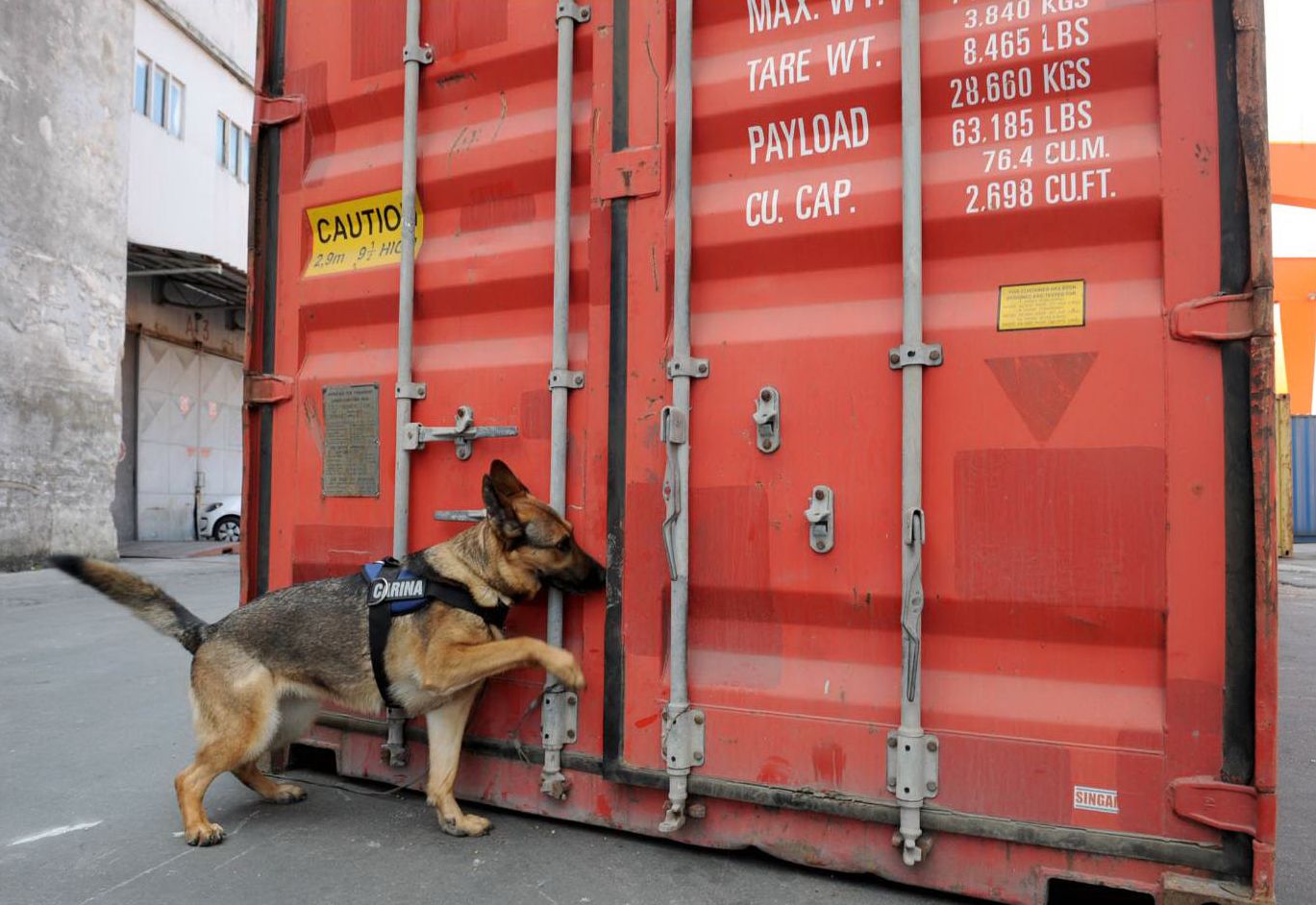 gdje mogu raditi ako imam psa službenika