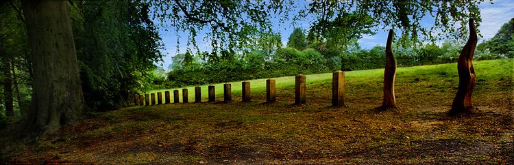 Moseley bog, Pinterest