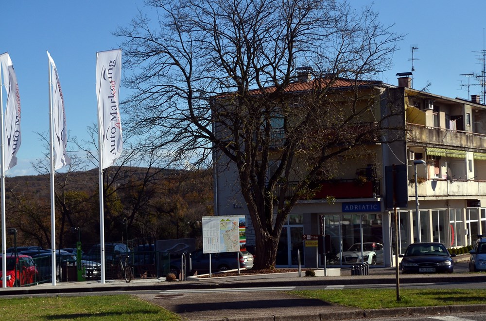 Sjedište tvrtke PD Auto Marketing / Foto Glas Istre