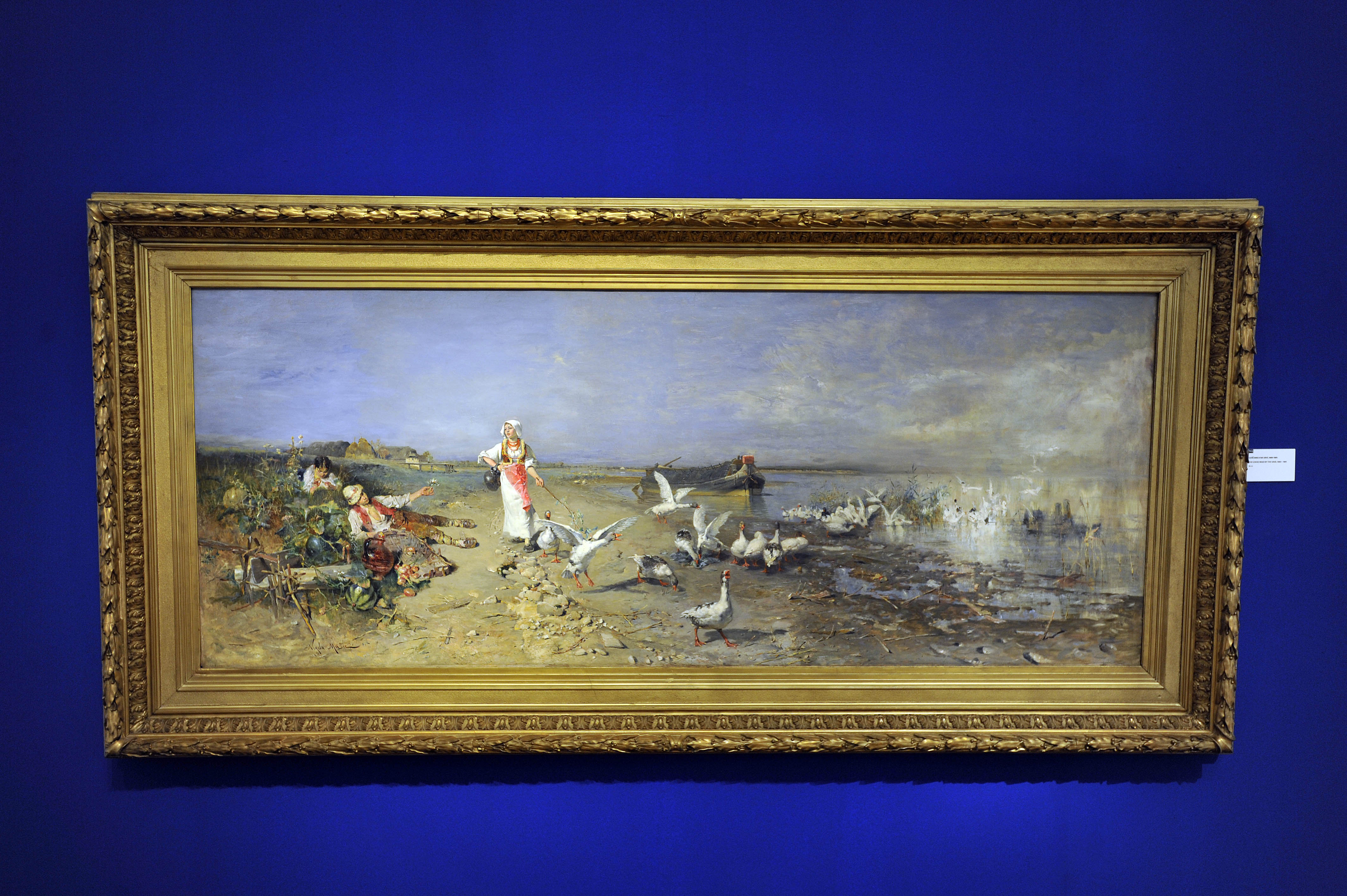 Nikola Mašić: Guščarica na Savi, snimio Davor KOVAČEVIĆ