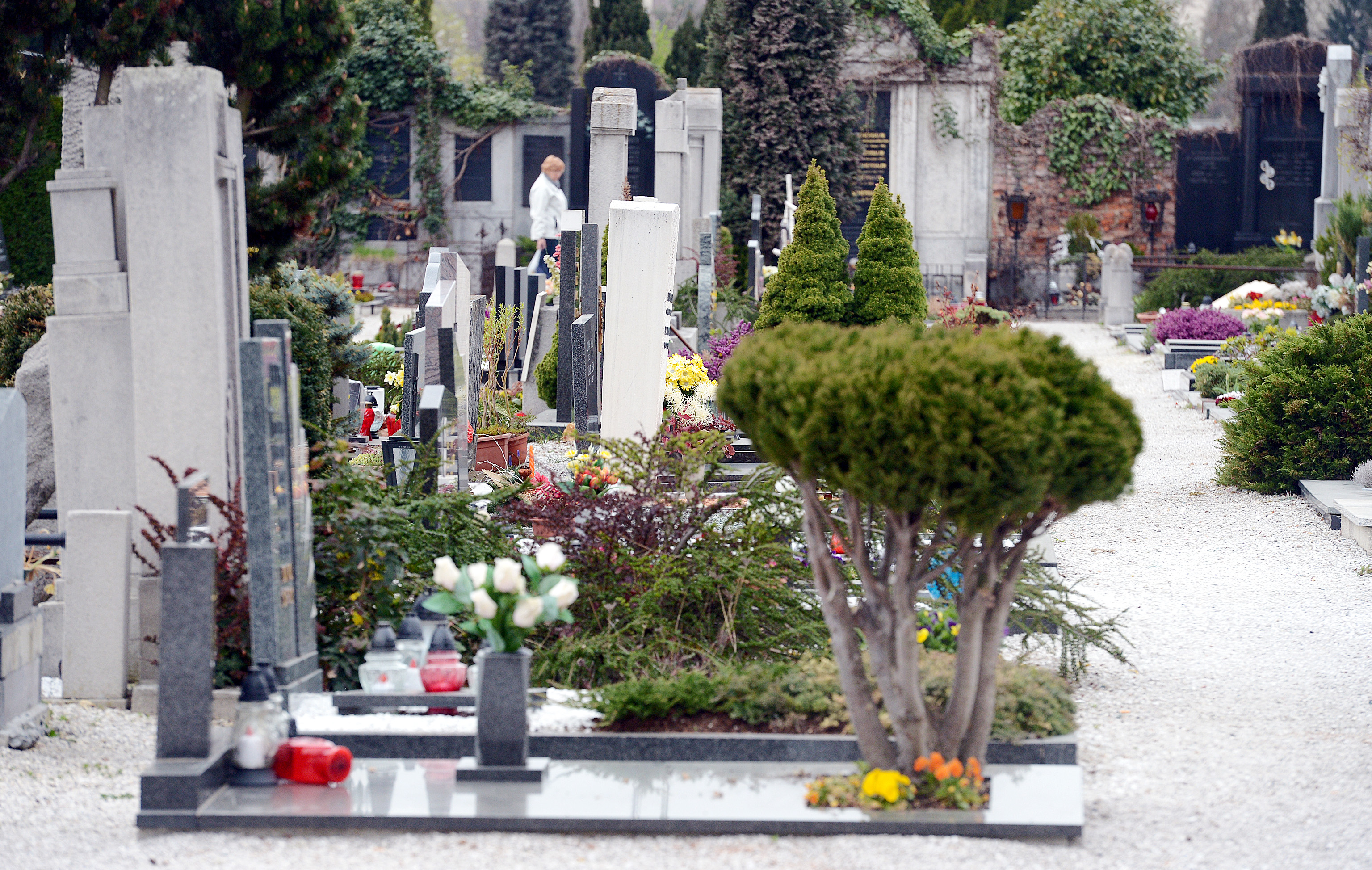 Mariborsko groblje