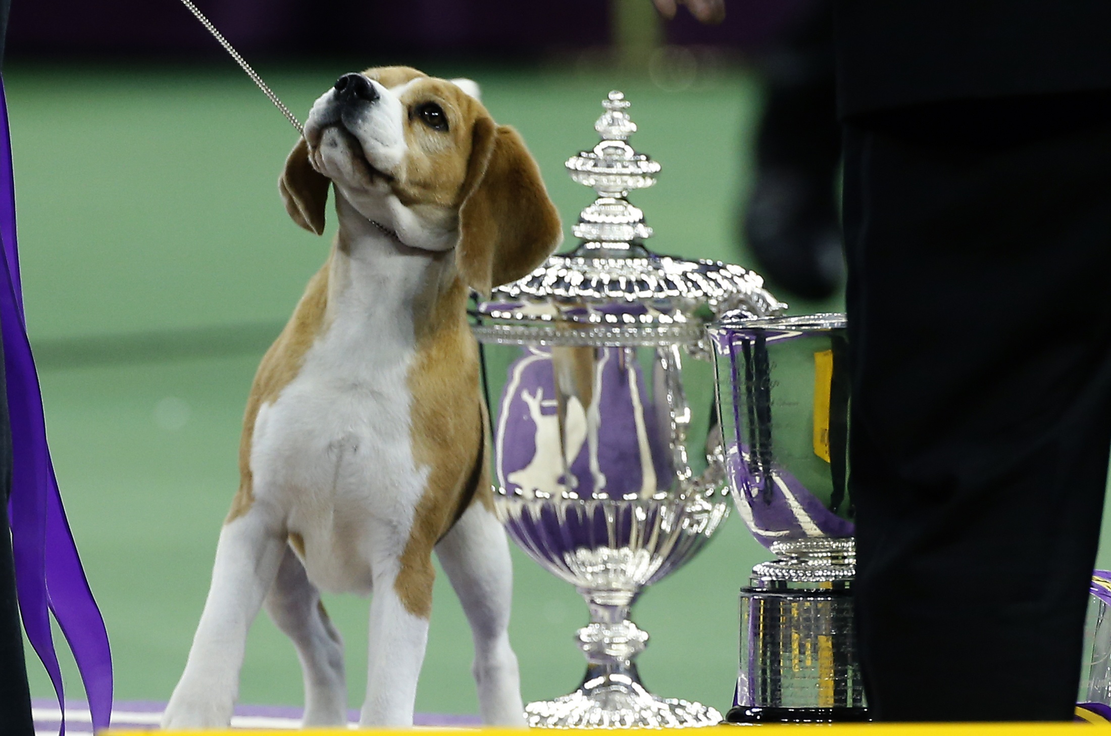 Reuters