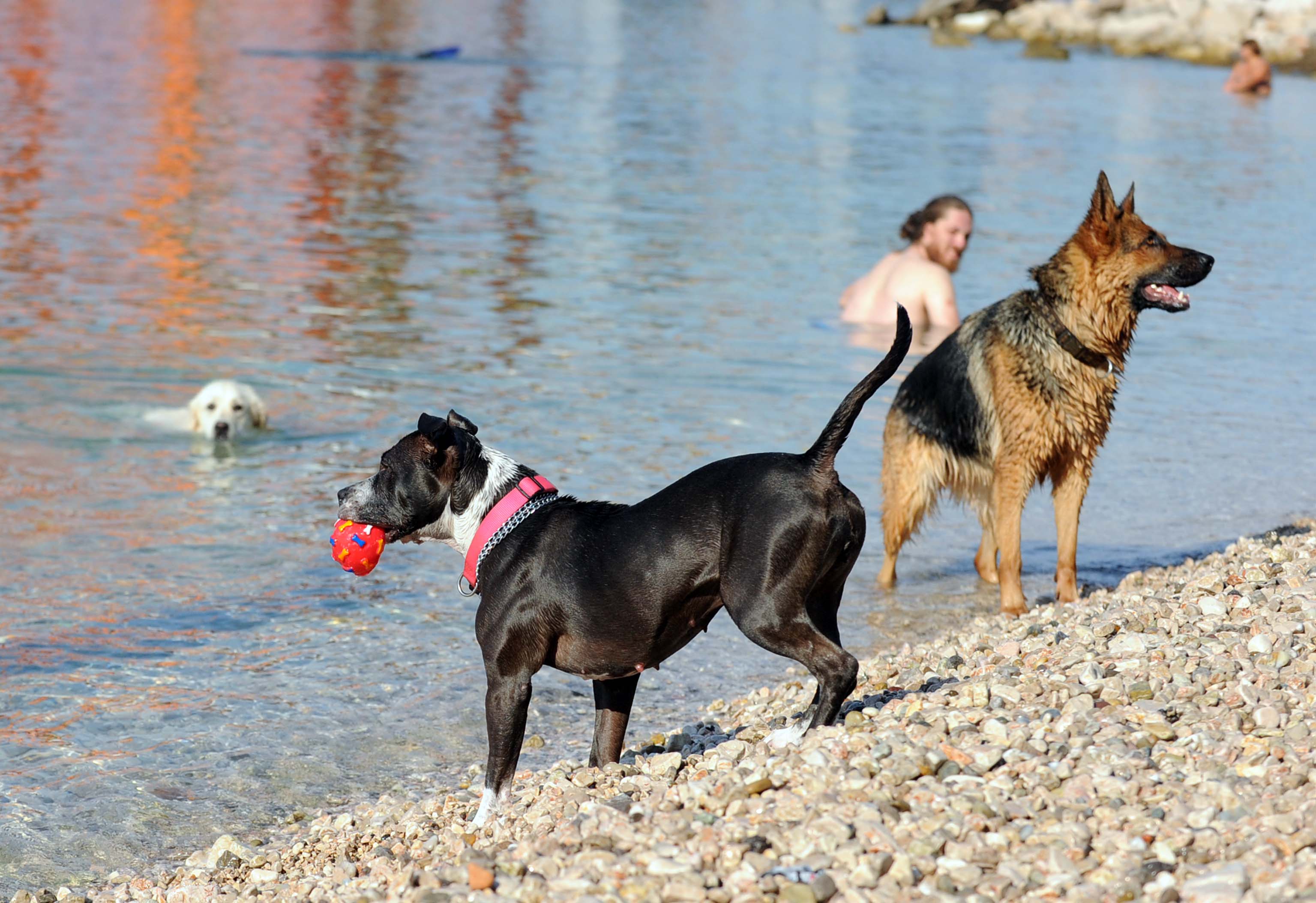 Snimio Vedran KARUZA