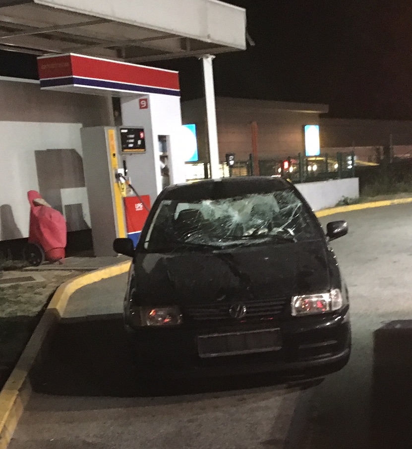 Snimio Fiore VEŽNAVER