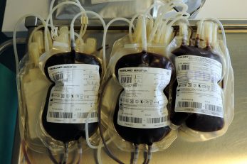 Darivanje krvi / NL Arhiva