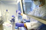 Cjepivo protiv korone traži se diljem svijeta / REUTERS