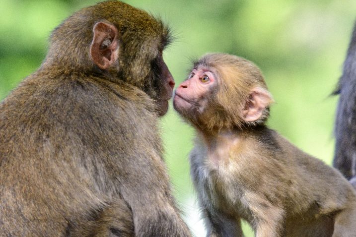 Foto Konstanze MEINDL