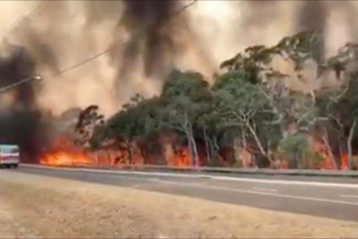 Foto NSW Rural Fire Service/via REUTERS