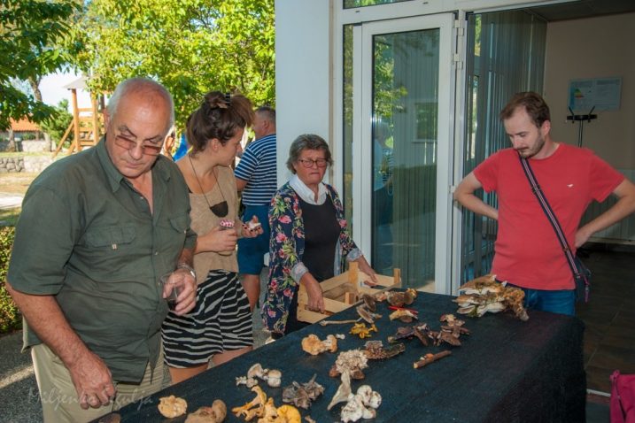 Slijedi ekosmotra zborova "U skladu s prirodom" u Bakru, u subotu, te "Koncert u prirodi", 29. rujna