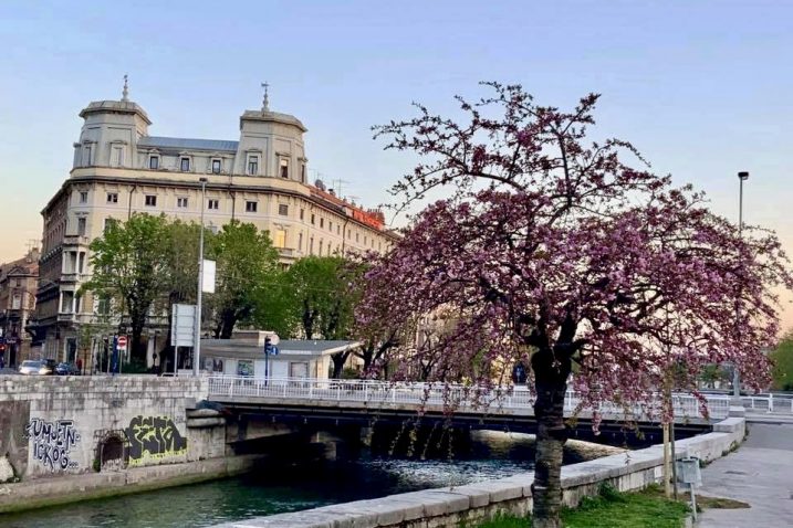 Foto: Željko Raukar