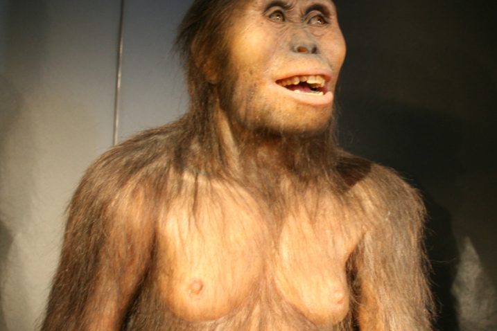 FOTO/Australopithecus afarensis, Wikimedia Commons