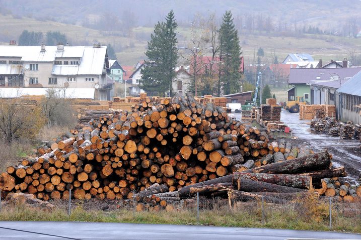 Hrvatska drvna industrija