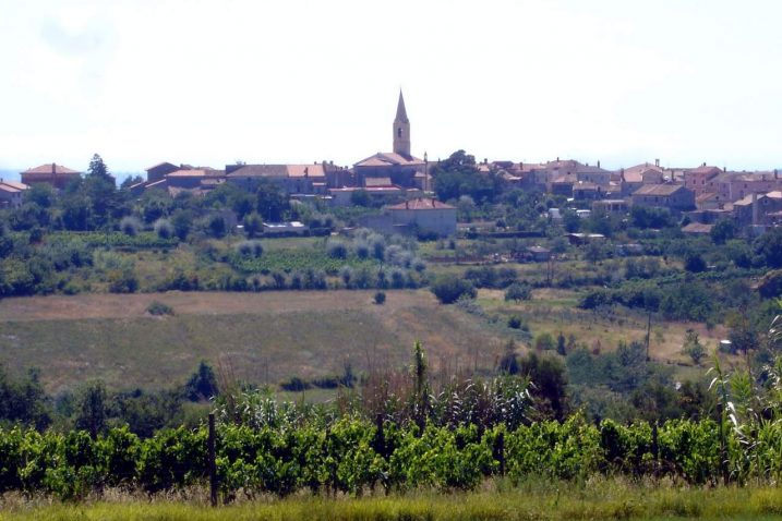 Brtonigla / NL arhiva