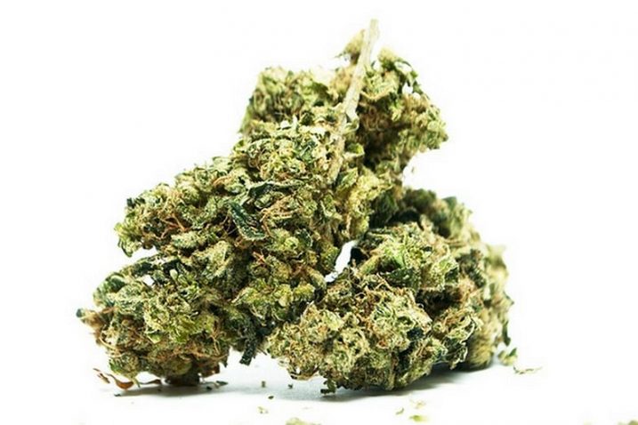 foto: medicalmarijuanahelp.com
