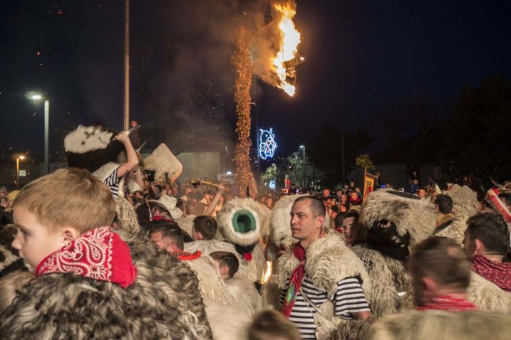 Foto arhiva NL