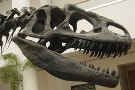 Allosaurus, Utah Online Library