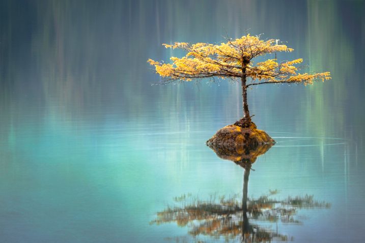Foto: Unsplash