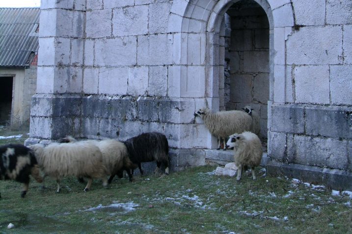 Foto Marin Smolčić