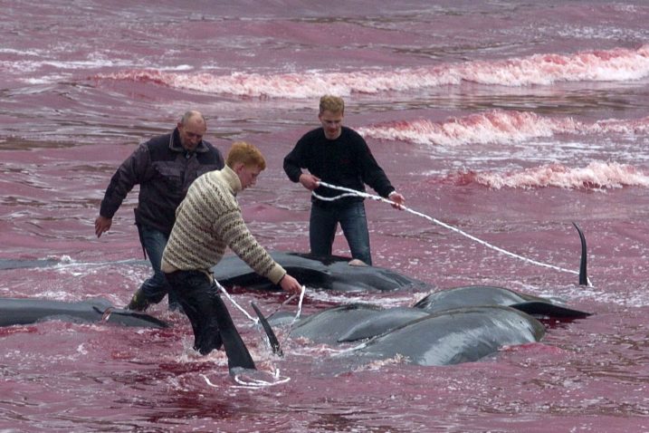 Ilustracija Reuters