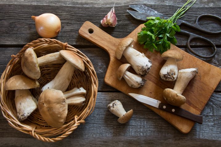 Foto Istock