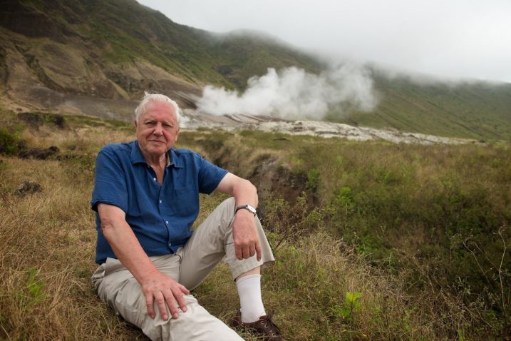 Sir David Attenborough / Foto Robert HOLLINGWORTH