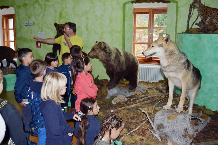 Postojeći postav o velikim zvijerima / Foto arhiva