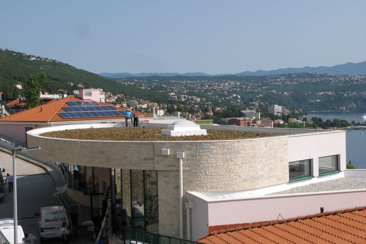 Foto Srđan Brajčić