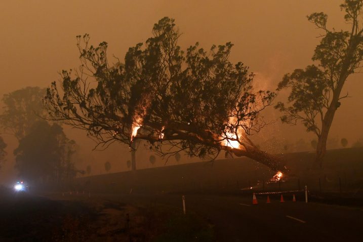 FOTO/REUTERS