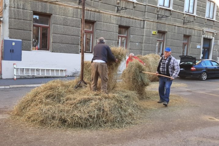 Foto Vedran Karuza