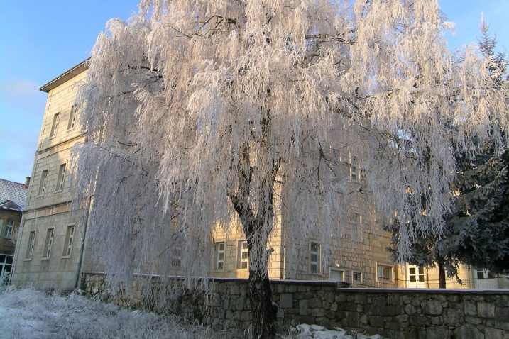 Foto Marin Smolčić