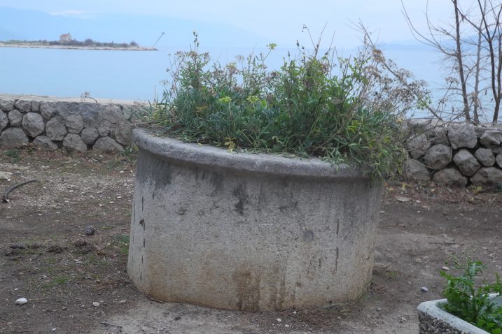 Foto: Franjo Deranja