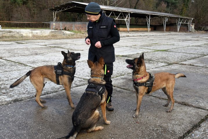 Foto Denis Lovrović